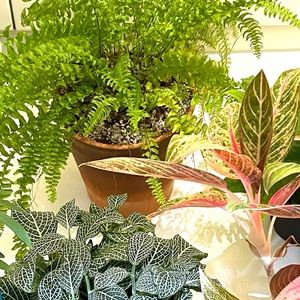 Meet your Posher, Leah